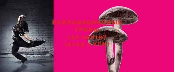 спиды Санкт-Петербург