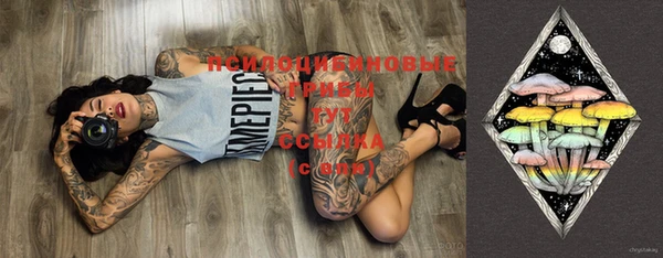 молекула духа Ессентукская