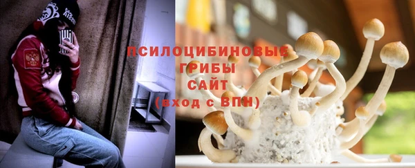 бошки Тольятти